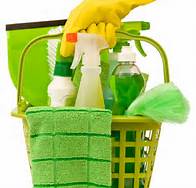 home cleaning supplies in a bucket